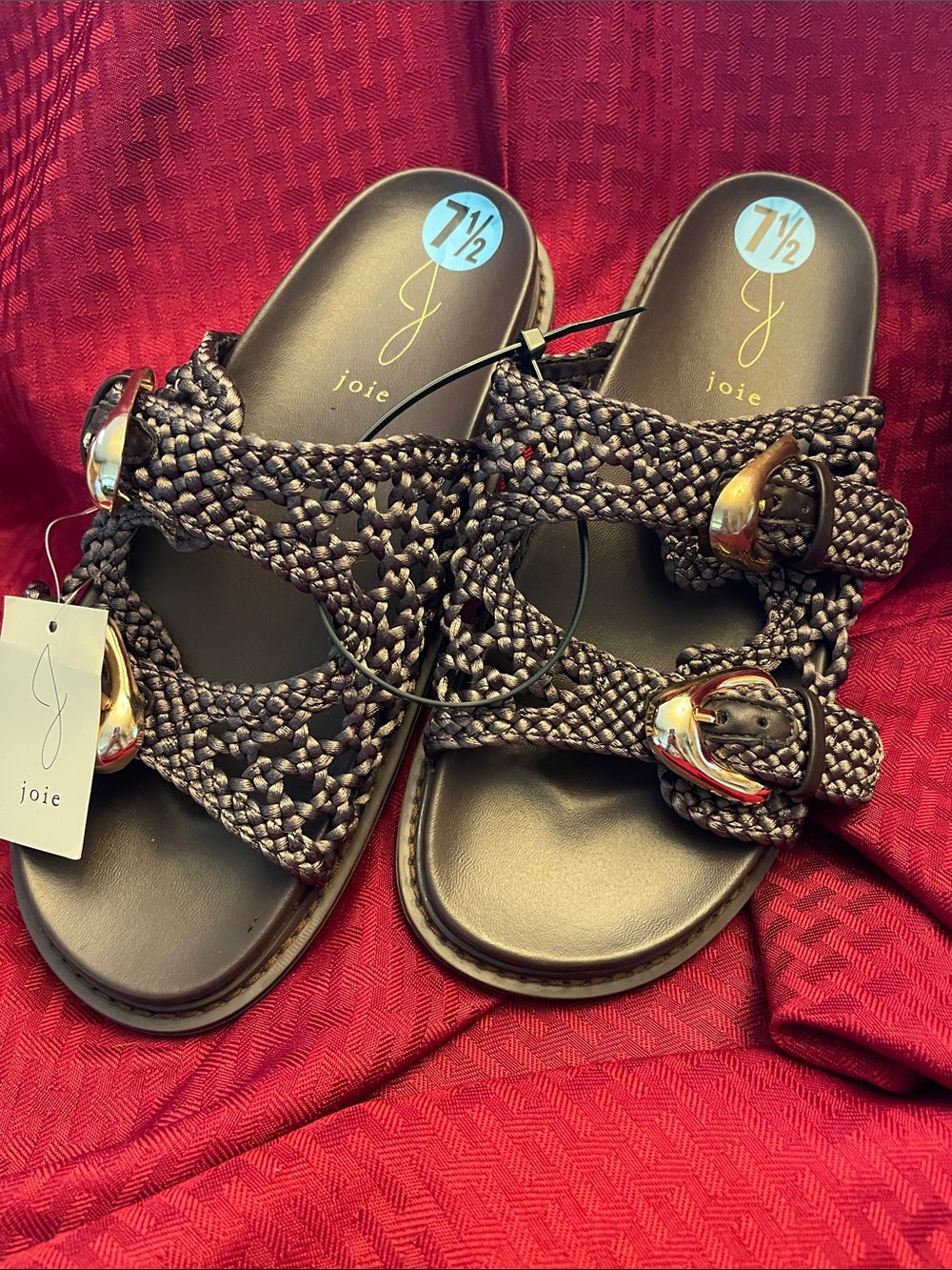Joie Braided Double-Buckle Slide Sandals in Dark Brown